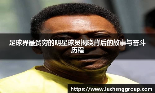 IM电竞股份有限公司