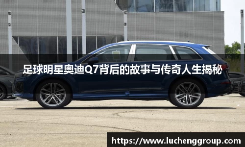 IM电竞-电子竞技平台